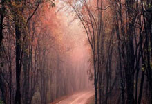 十三年再回首，谁还记得那个让草根唱响梦想的《唱战》